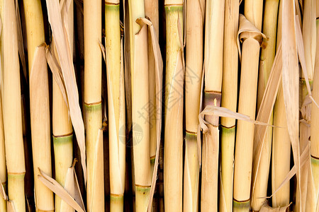用作栅栏或天窗的甘油纹理竹子墙纸条纹木材棕褐色镶板水平文化材料木头背景图片