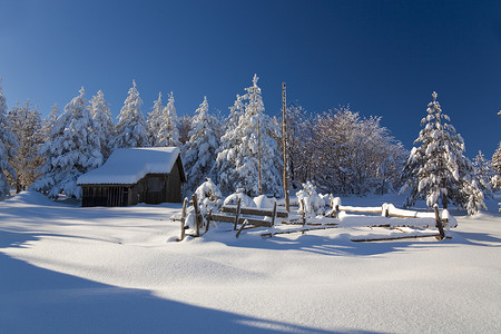 樟子松冬季山区农场地标土地休息室国家场地环境农村农家松树房子背景