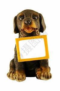 寻根问祖狗祖文尼把石碑装在牙缝里 一个刻字的地方帮助创造力犬类文档宠物讨论艺术友谊棕色空白背景