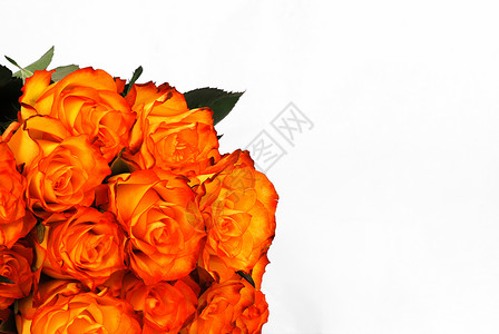 橙色玫瑰花织物花束紫色橙子配偶照片情人婚姻边界火花背景图片