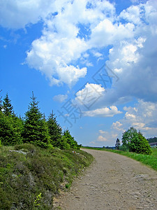 山区公路晴天自由森林蓝色小路风景收成爬坡蓝花汽车高清图片