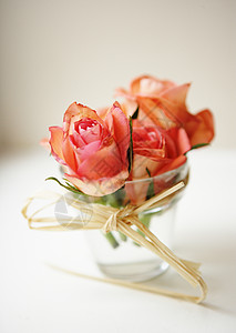 玻璃花瓶粉色花玻璃中的玫瑰背景