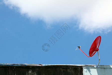 阳光灿蓝的天空上孤立的红色卫星电视海浪接待互联网盘子光盘电缆数据金属桅杆背景图片