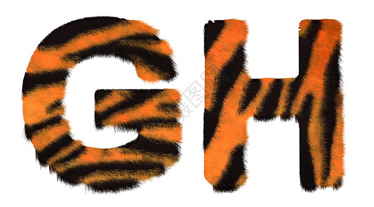 老虎标志老虎掉下G和H字母隔离背景