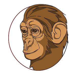 猴子头部素材猴子标志背景