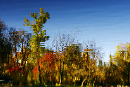 红秋树在水中反射高清图片