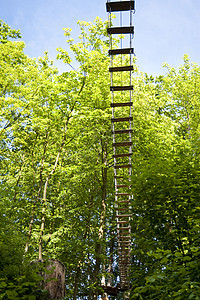 高线行为高电线高线绳索金属行动运动树木乐趣钢丝木头公园背景