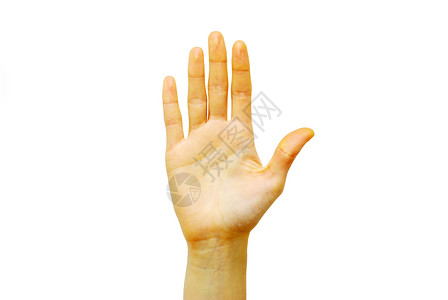 手掌女士身体手指白色商业拇指背景图片