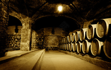 Wine 钢笔贮存棕褐色乡村地窖酒厂背景图片