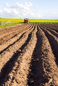 国家土豆地面和拖拉机的春耕种背景