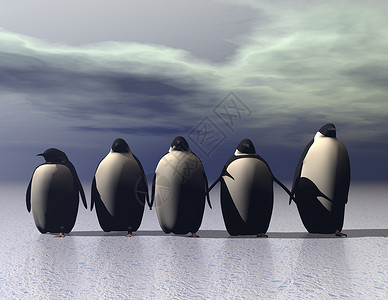 企鹅气候存活天空气候变化渲染气氛鸟类电脑真实感插图背景图片