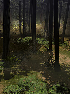 木柴木头植物树木太阳绿色渲染阴影背景图片