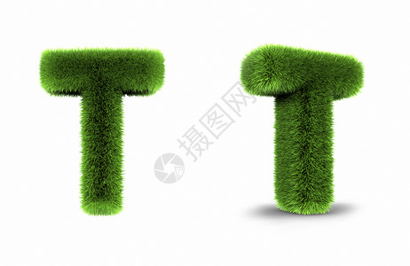 草信T风格装饰首都文档广告写作教育字体绿色植物背景图片