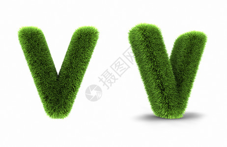 草信五写作植物文档绿色风格装饰教育字体广告首都背景图片