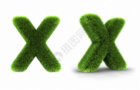 草信X绿色教育写作文档植物字体装饰首都广告风格背景图片