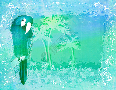 热带剪贴画坐在渡口的花蜜鹦鹉鸟异国海洋海滩墙纸可可树叶艺术品日落动物园海景背景