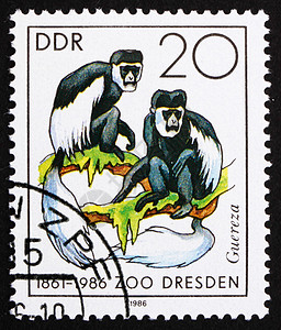 龙年纪念邮戳GDR 1986年 龙猴报背景