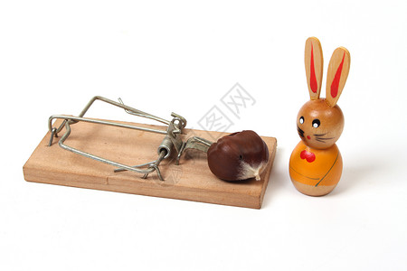 威胁鼠陷阱夹子动物兔子坚果背景图片