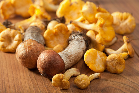 新鲜蘑菇孢子橙色宏观烹饪营养季节帽子收获食物美食高清图片