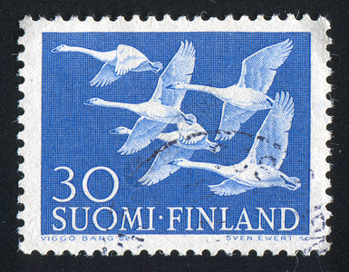 芬兰天鹅天鹅历史性海豹邮资动物邮戳邮票翼展家禽身体航班背景