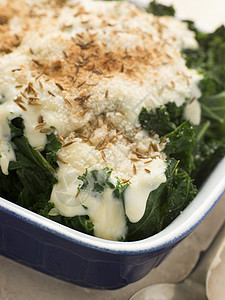 草本植物甘蓝Curly Kale 带起司酱和小菜籽及面包屑白汁食谱食物面包香菜平底锅食品种子乳制品生产背景