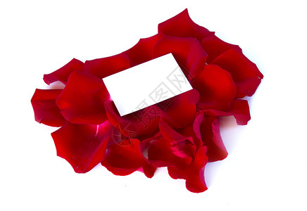花瓣上的信息脆弱性玫瑰礼物红色庆典假期问候语卡片背景图片