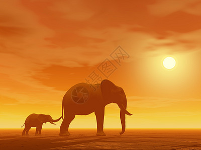 妈妈和小象大象小象沙漠高清图片