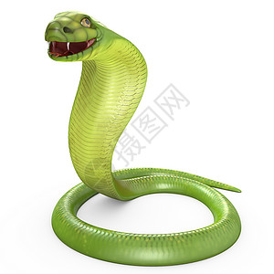 绿眼镜蛇在环圈中弯曲高清图片