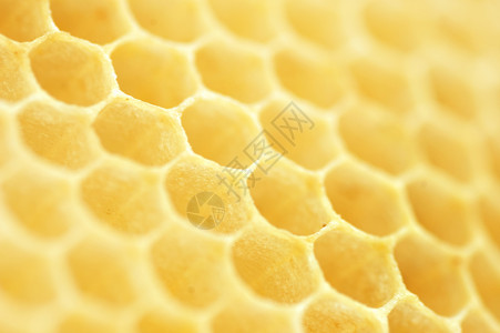 蜜蜂架 浅露DOF高清图片
