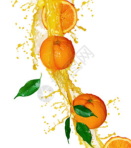 飞溅果汁元素橙子水果和喷洒果汁加白液体树叶苏打溪流水滴运动热带饮食柠檬飞溅背景