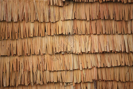 茅草屋顶叶子庇护所稻草乡村棕榈背景图片