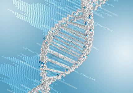 基因线条DNA线条图解科学生物生活插图药品遗传学细胞制药实验嘌呤背景