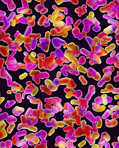 危险细菌的殖民地卫生感染保健科学微生物学生物病原细胞背景图片