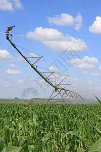 玉米滚筒用于农业的灌溉系统培育园艺农民线圈现代化技术地球干旱管道滚筒背景