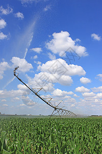 玉米滚筒用于农业的灌溉系统滚筒卷轴培育玉米线圈地球场地蓝色收成农民背景