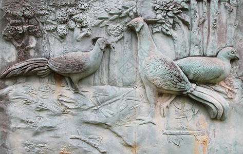 飞石素材ps石墙上的鸟类纹理细节背景