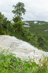 加仑河自然的白色的高清图片