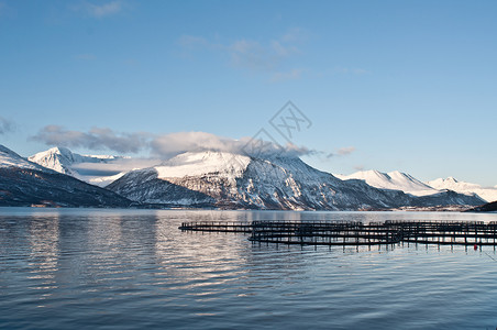雪浪山挪威的鲑鱼农场背景
