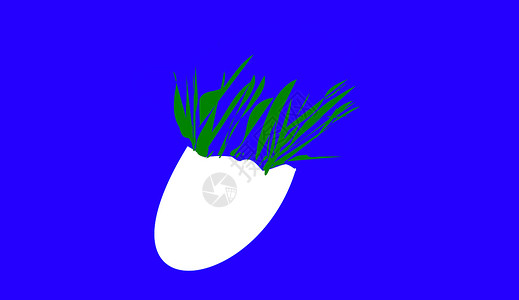 蛋壳植物牧草插图草本植物白色背景图片