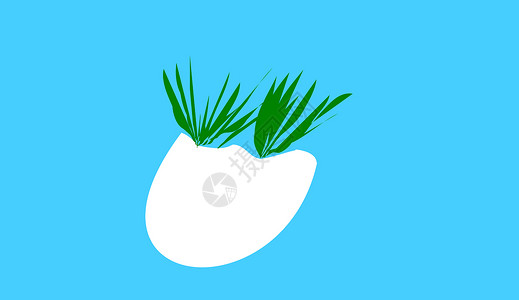 蛋壳牧草插图白色草本植物植物背景图片