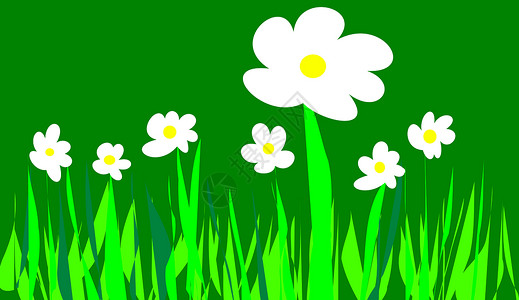 低地花朵植物草地草原插图背景图片