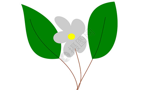 花朵绘画植物残像插图雏菊背景图片