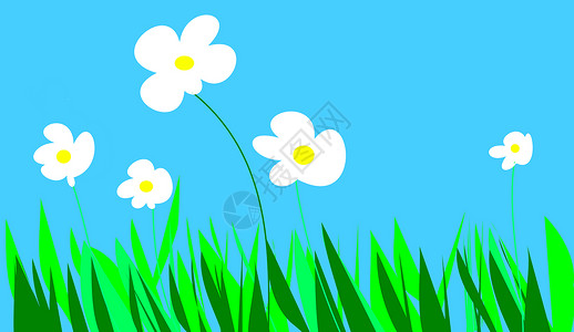 花朵植物插图绘画雏菊草地背景图片