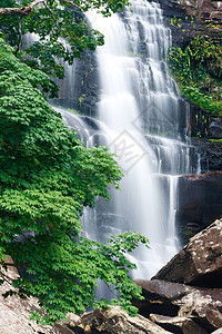 侬美丽的瀑布和绿木林森林光束环境叶子射线农村公园国家石头风景背景