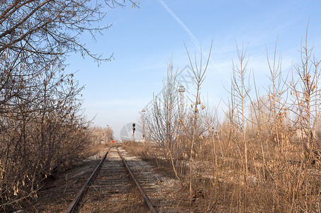 铁路火车树木信号铁轨运输背景图片