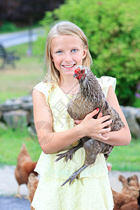 年轻的鸡花园中的金发女孩和小鸡裙子乐趣太阳金发女郎农场国家生活家禽女性童年背景