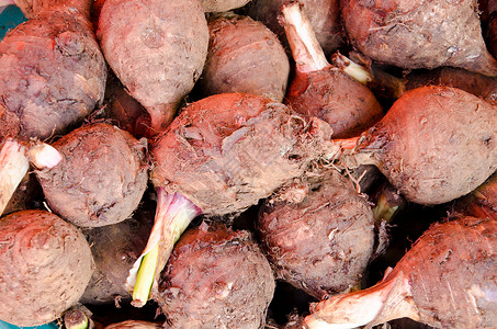 塔罗植物球茎蔬菜棕色情调工作室芋头热带白色水果高清图片