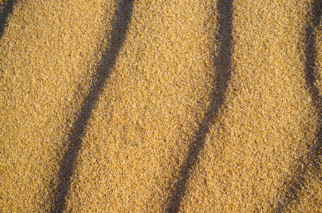 砂型质地黄色的高清图片