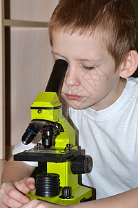 男孩看显微镜训练学校青少年研究目镜孩子班级生物课桌背景图片