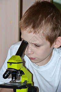 青少年通过显微镜进行研究和观察 以研究学校训练班级课桌目镜生物孩子背景图片